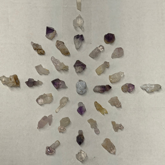 A day of gridding Madagascar Scepters