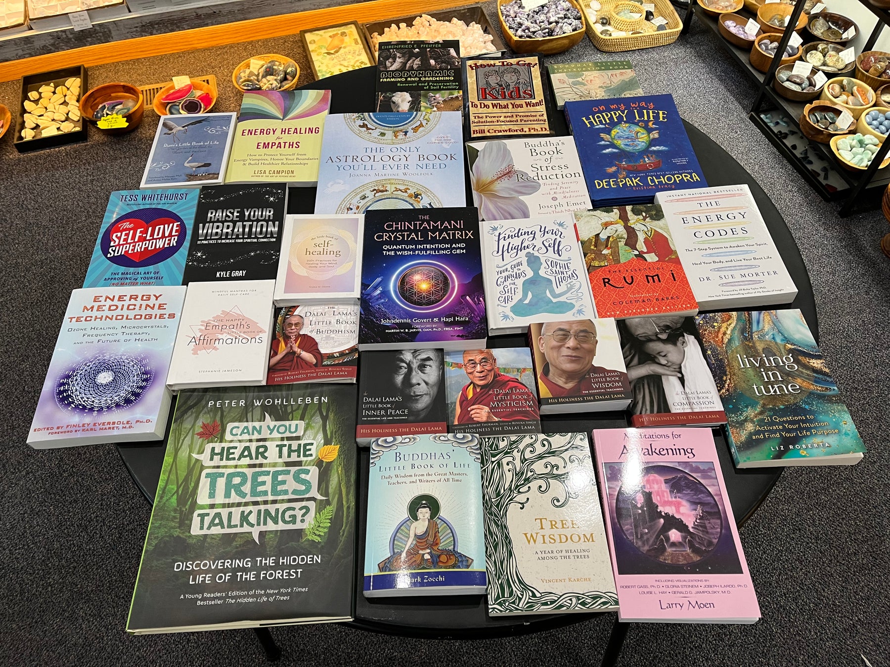 The Little Book Store in the Crystal Shop