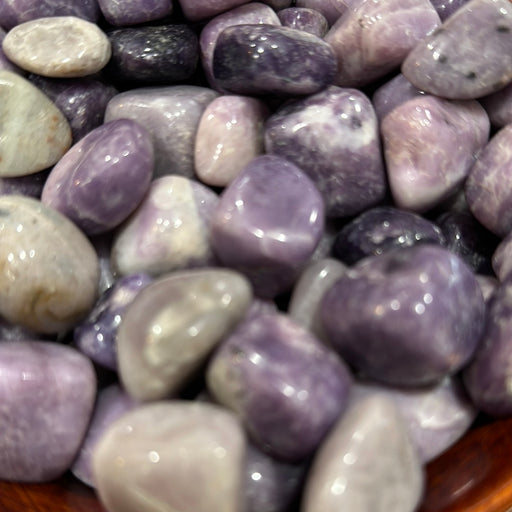 Stunning Tumbled Lepidolite Stones showcasing their calming purple and lilac hues, ideal for emotional healing and meditation.