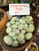 Chrysoprase tumbled eggs showcasing vibrant apple green color, known for promoting joy and happiness and detoxifying properties.