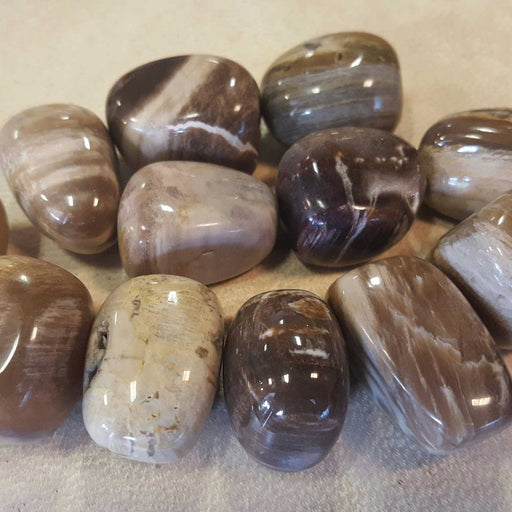 Tumbled stones - Petrified Wood - High Ho Gems and Crystals