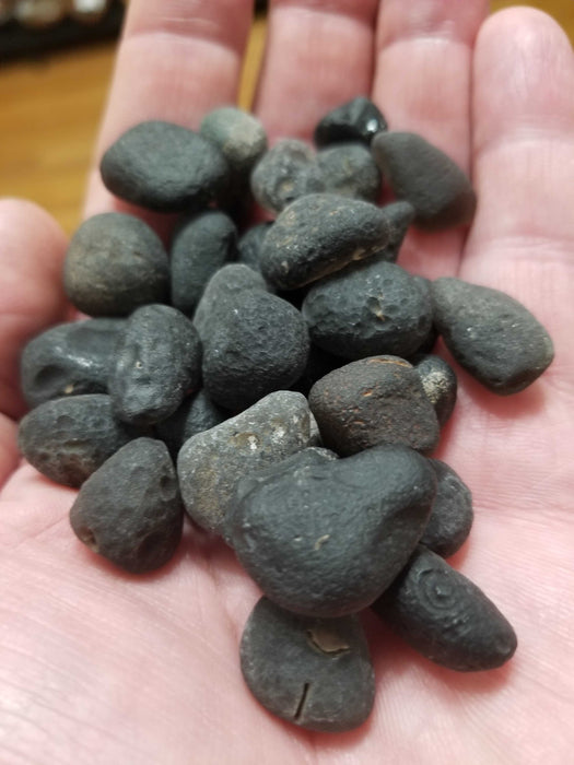 Cintamani Tektite: A close-up view of the glossy black Cintamani stone, known for its powerful wish-fulfilling properties.