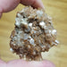 Morocco’s Gem Aragonite Star Cluster showcasing intricate starburst formations with earthy hues of amber and brown.