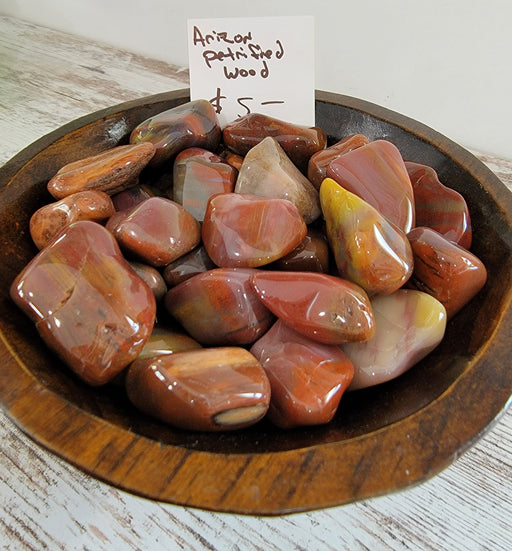 Petrified Wood Arizona Tumbled stones featuring rich reds, browns, and oranges, perfect for healing and grounding energies.
