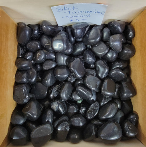 A stunning piece of Black Tourmaline, showcasing its natural black to gray color, known for removing negative energies and promoting a healthy mood. Perfect for grounding and detoxification, this Black Tourmaline is ideal for healing and energy-focused practices.