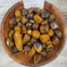 Tumbled Stones - Desert Jasper Tumbled shown in a natural setting, highlighting their earthy colors and unique textures.