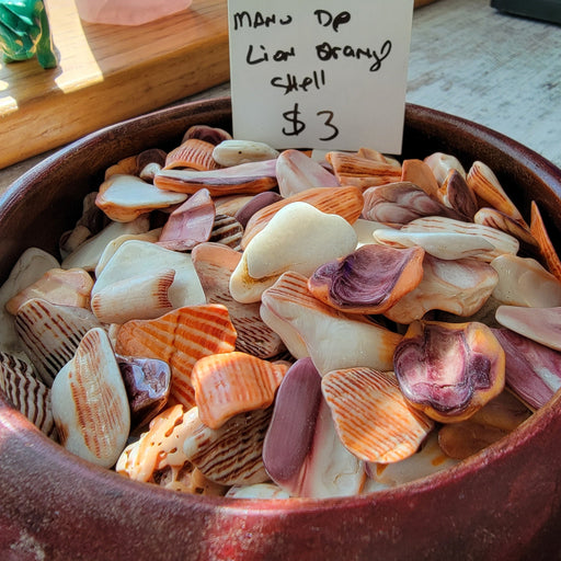Manu De Lion Orange Shell tumbled stones featuring vibrant orange and white hues perfect for crystal healing and decor.
