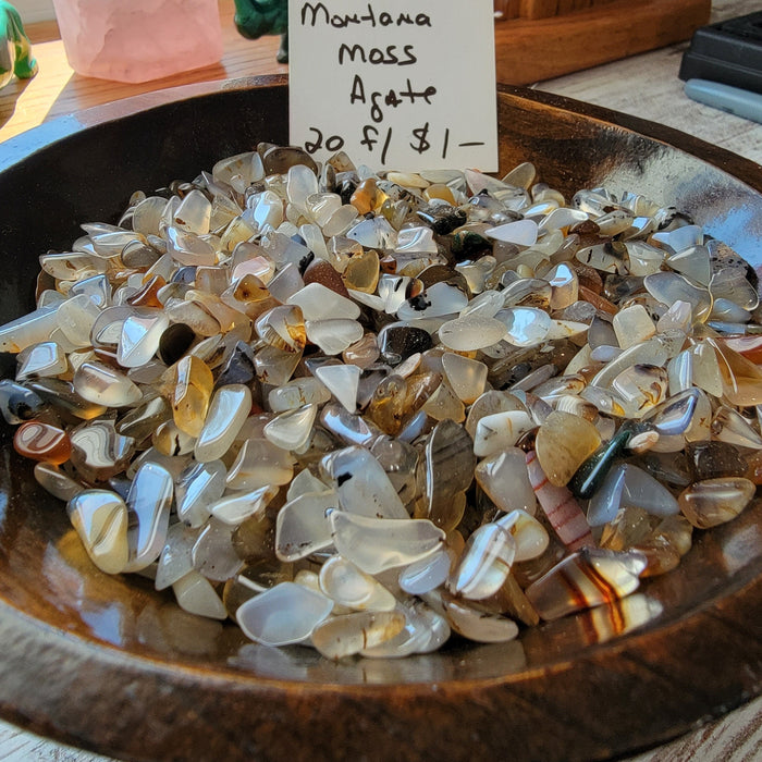 Tumbled stones of Montana Moss Agate - CHIPS, featuring light blue green and white colors, perfect for enhancing your Throat Chakra and boosting immune health.