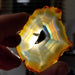Vibrant Rainbow Iris Agate Slice with striking colors, a great addition to any gemstone collection.