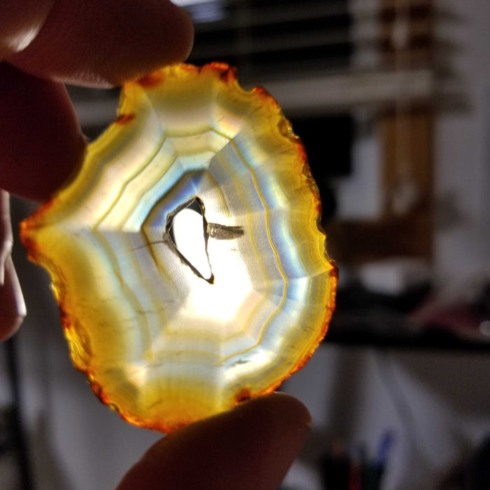 Artistic arrangement of multiple Rainbow Iris Agate Slices exhibiting a range of lively colors and textures.