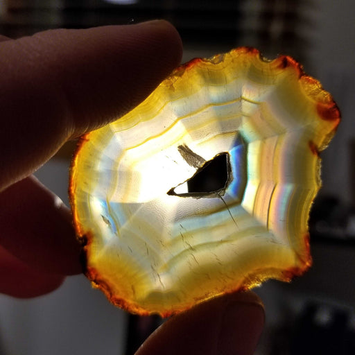 Stunning close-up of a Rainbow Iris Agate Slice, highlighting the intricate details and iridescent hues.