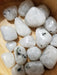 Close-up view of a Rainbow Moonstone tumbled crystal showcasing its unique white with black dots pattern, ideal for enhancing intuition and promoting inner growth.