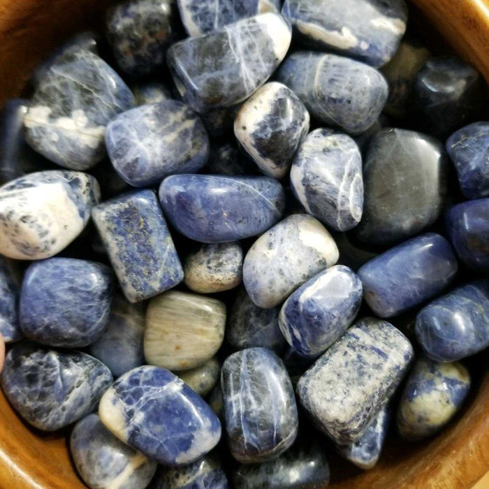 High-quality Sodalite tumbled stones showcasing beautiful blue and white colors. Perfect for emotional balance and enhancing intuitive abilities.