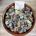 Beautiful smooth Tumbled stones - Grey Botswana Agate Tumbled showcasing natural brown and grey patterns, perfect for energy balancing and root chakra healing.