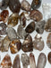 Close-up of Lodolite Quartz Lenses, also known as Shaman Quartz or garden quartz, highlighting its unique lens shape.