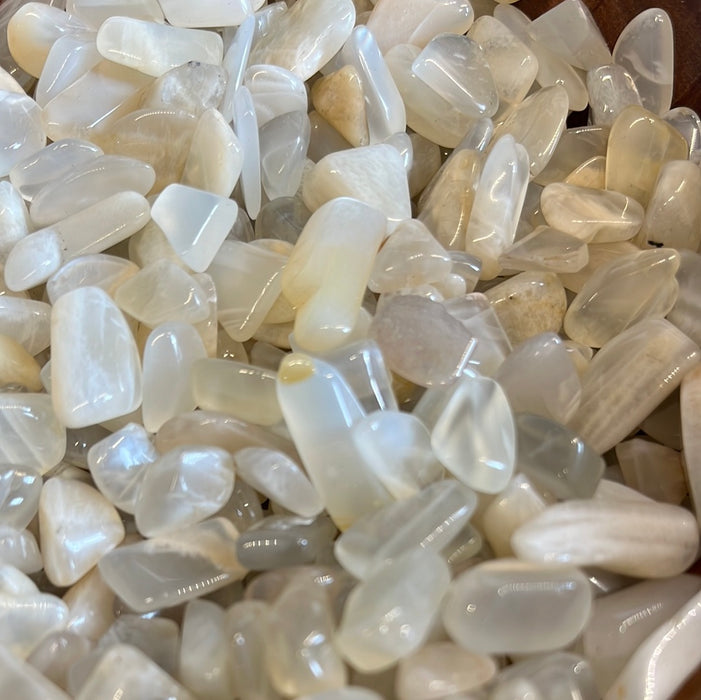 High quality White Moonstone Chips from High Ho Gems and Crystals, showcasing their natural white color and small chip size, perfect for crafting or crystal healing.