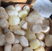 Pineapple Calcite Tumbled stone from High Ho Gems and Crystals, showcasing its unique yellow and orange hues.