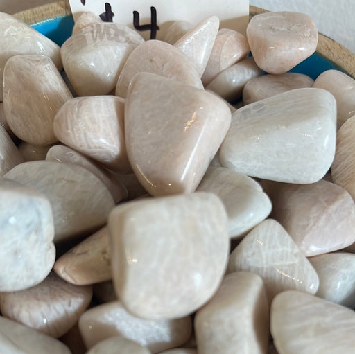 High-quality Peach Moonstone tumbled stones, approximately 1/2 to 1 inch in size, perfect for crystal healing and collection.