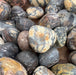Beautiful Batik Jasper tumbled stones showcasing intricate patterns and earthy colors, ideal for collectors and crystal enthusiasts.
