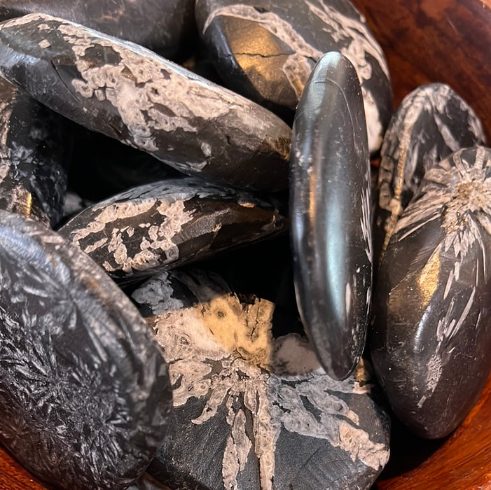 A stunning close-up view of Chrysanthemum Stone showcasing its unique patterns and textures, emphasizing its vibrant beauty.