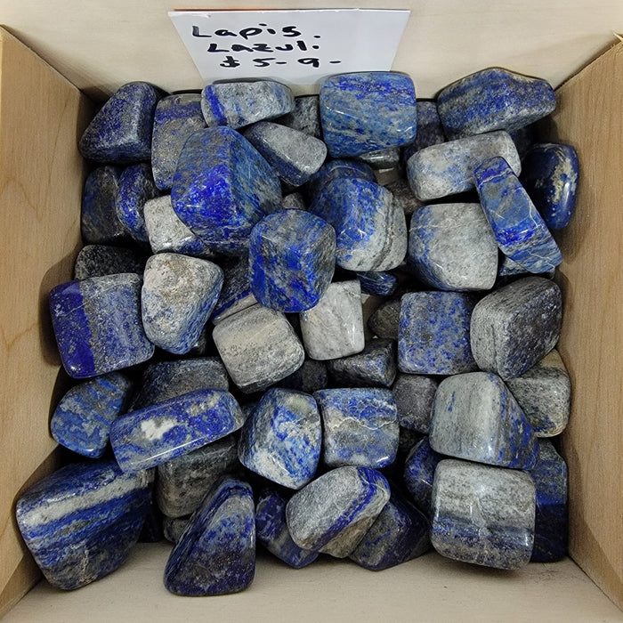 Beautiful Lapis Lazuli Tumbled stones showcasing deep blue color with gold flecks, perfect for crystal enthusiasts and collectors.