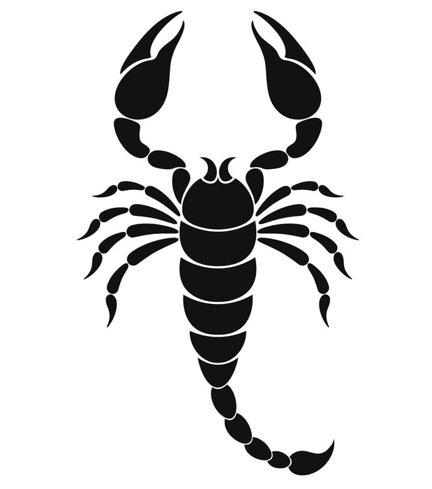 Scorpio Astrology Kit: Unleash Your Inner Power and Transform Your Life - Empower yourself with the Scorpio Astrology Kit, featuring protective crystals and tools for emotional healing and personal transformation.
