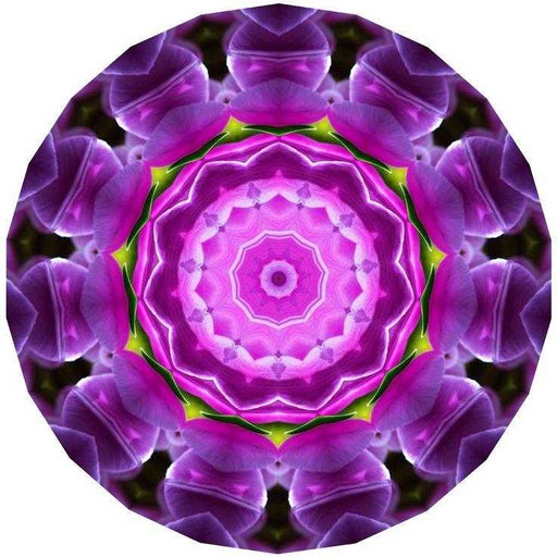 Spiritual Chakra Crystal Kit showcasing components of The Soul Star Chakra Crystal kit, designed to help open your Soul Star Chakra.