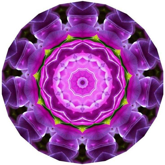 Spiritual Chakra Crystal Kit showcasing components of The Soul Star Chakra Crystal kit, designed to help open your Soul Star Chakra.